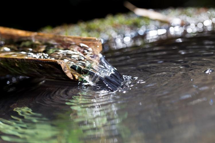 做精釀啤酒，如何處理釀造用水？