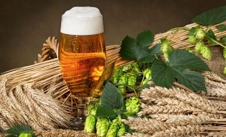 精釀啤酒中，如何選擇恰當?shù)慕湻椒ǎ?> </a>
    </dt> 
    <dd> 
     <h4><a href=